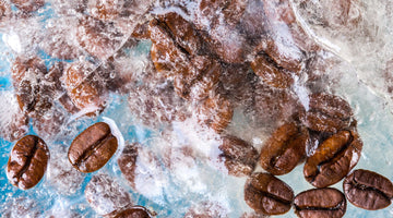 Can You Freeze Coffee Beans? Tips for Storing & Grinding Frozen Beans