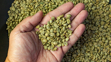 Green Coffee Advantages: A Comprehensive Guide