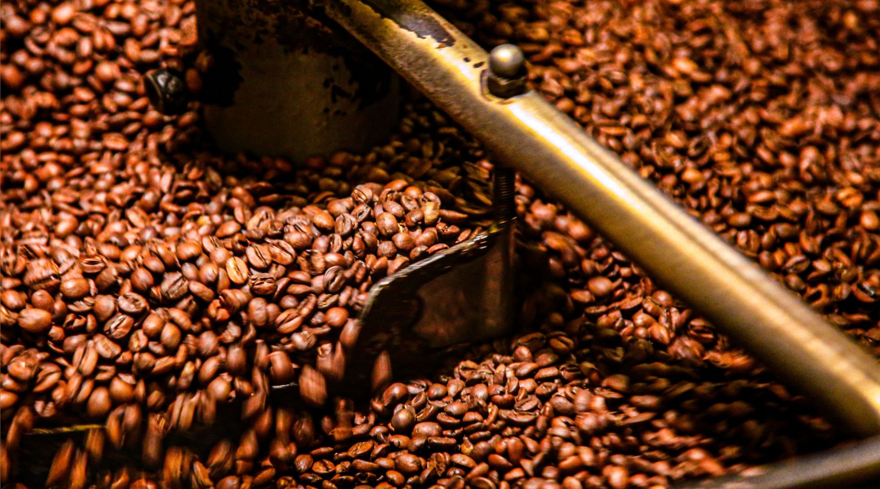 How to Grind Coffee Beans An Essential Guide