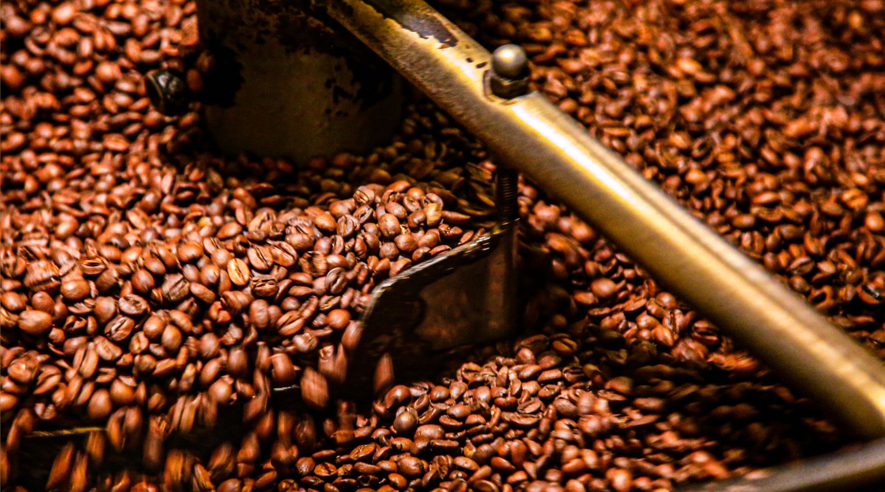 How to Grind Coffee Beans: An Essential Guide