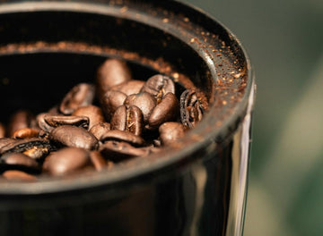 coffee grinder burrs covered with coffee oil residue before cleaning