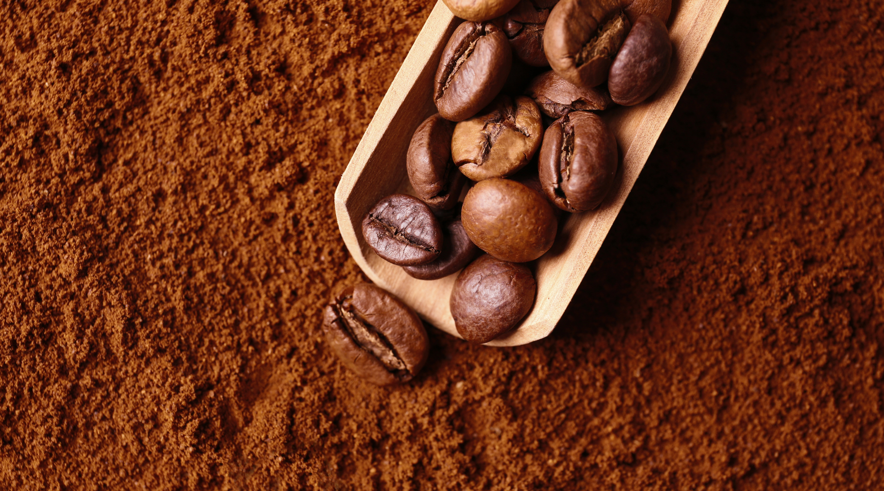 5 Easy Steps to Make Espresso Powder at Home